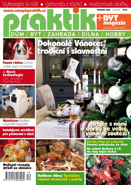 PRAKTIK & příloha Byt magazín 12/2020