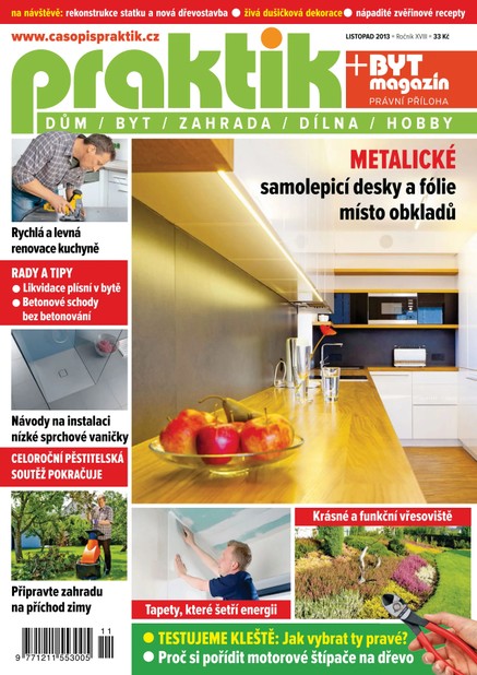PRAKTIK & příloha Byt magazín 11/2013