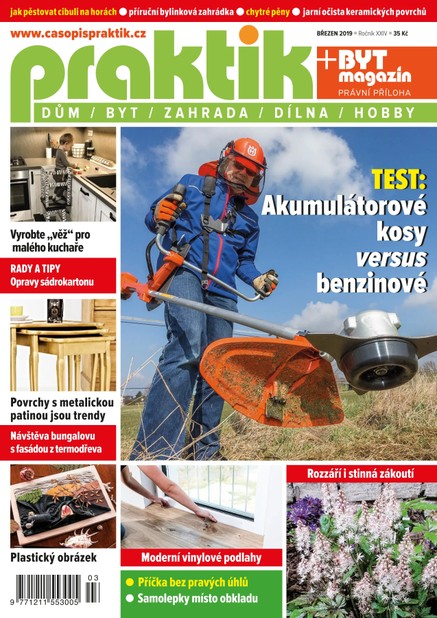 PRAKTIK & příloha Byt magazín 3/2019