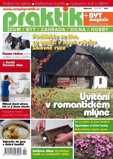 PRAKTIK & příloha Byt magazín 2/2021