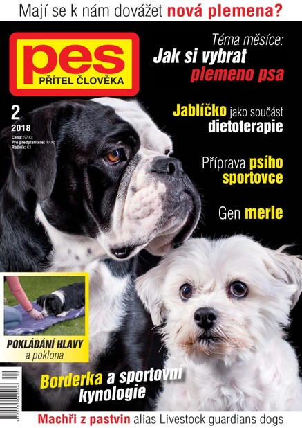 Pes přítel člověka 2/2018