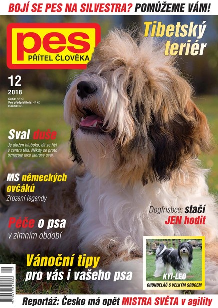 Pes přítel člověka 12/2018