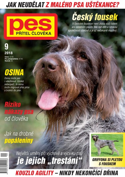 Pes přítel člověka 9/2018