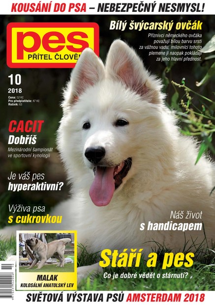 Pes přítel člověka 10/2018