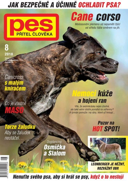 Pes přítel člověka 8/2018