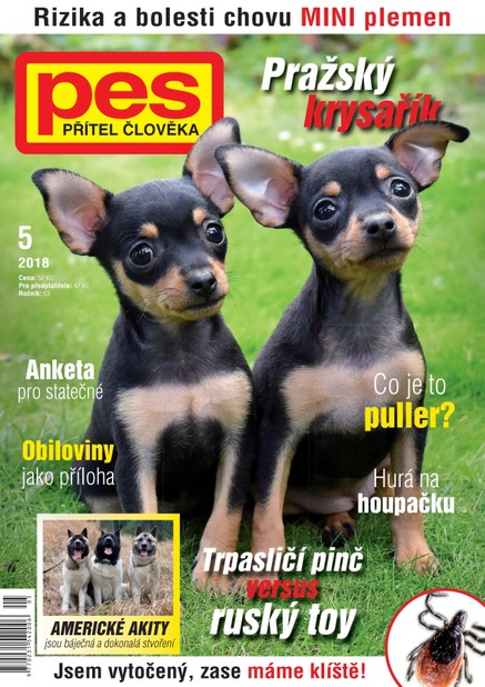 Pes přítel člověka 5/2018
