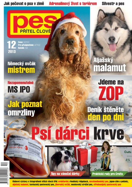 Pes přítel člověka 12/2013