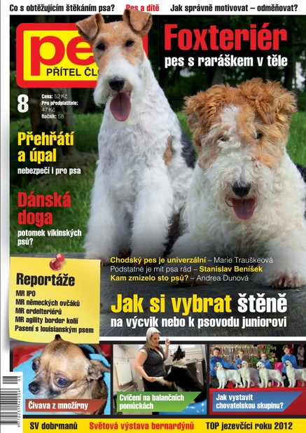 Pes přítel člověka 8/2013