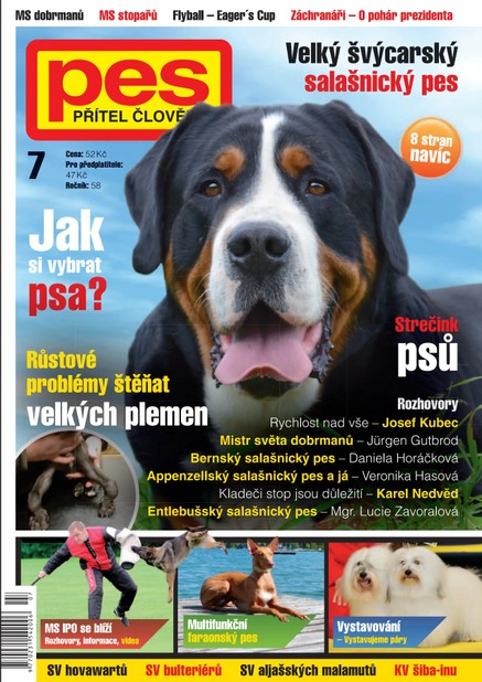 Pes přítel člověka 7/2013