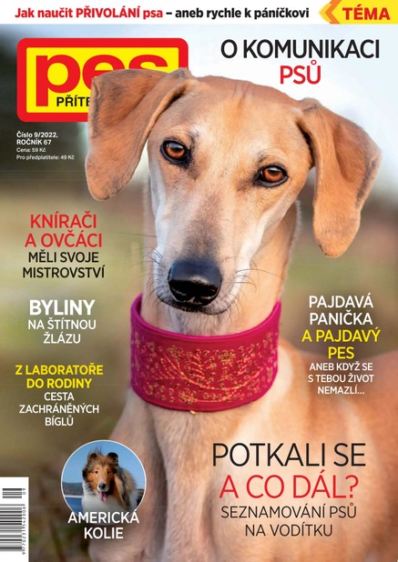Pes přítel člověka 9/2022