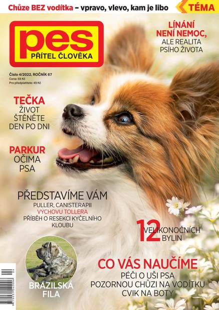Pes přítel člověka 4/2022