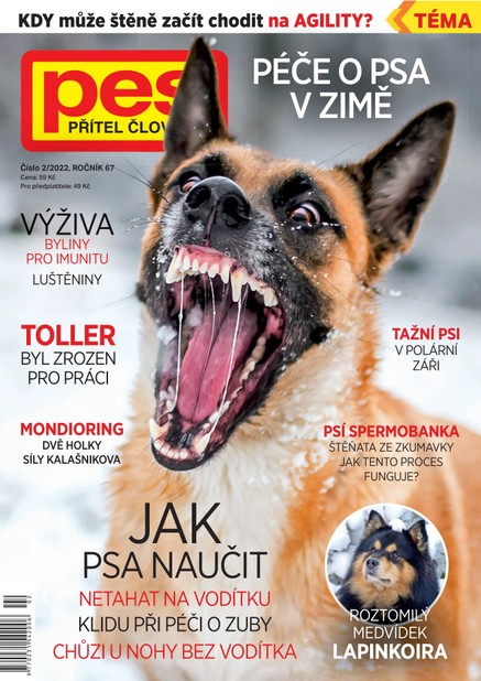 Pes přítel člověka 2/2022