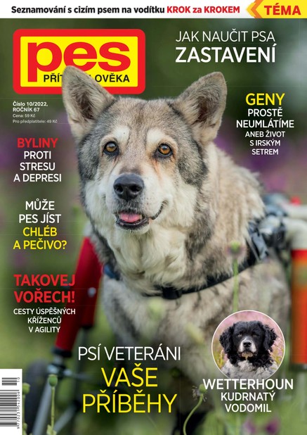 Pes přítel člověka 10/2022