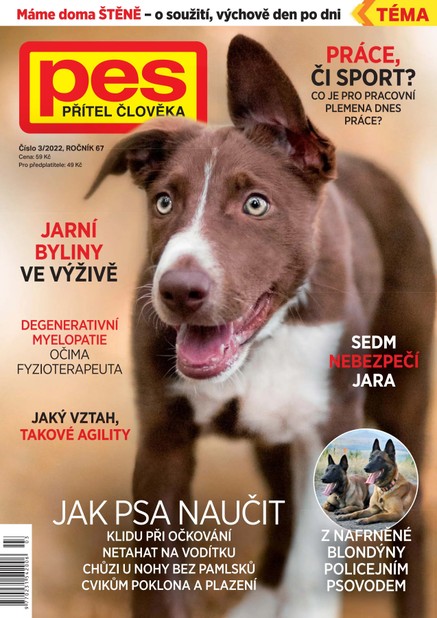 Pes přítel člověka 3/2022