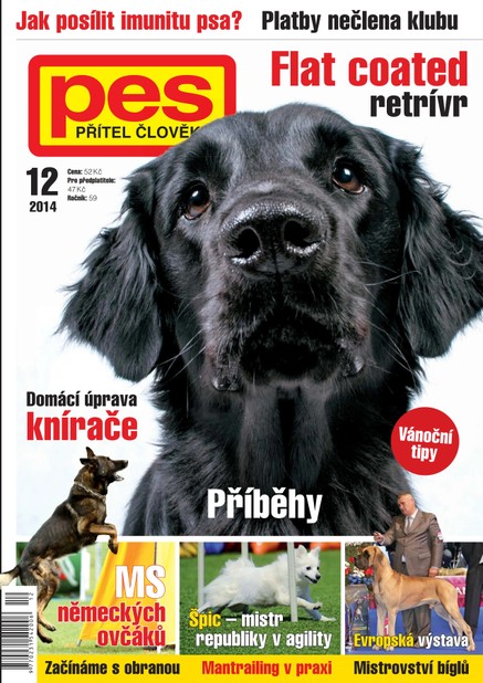 Pes přítel člověka 12/2014