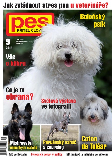 Pes přítel člověka 9/2014