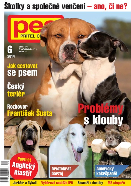 Pes přítel člověka 6/2014