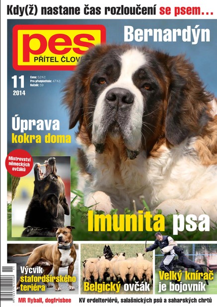 Pes přítel člověka 11/2014
