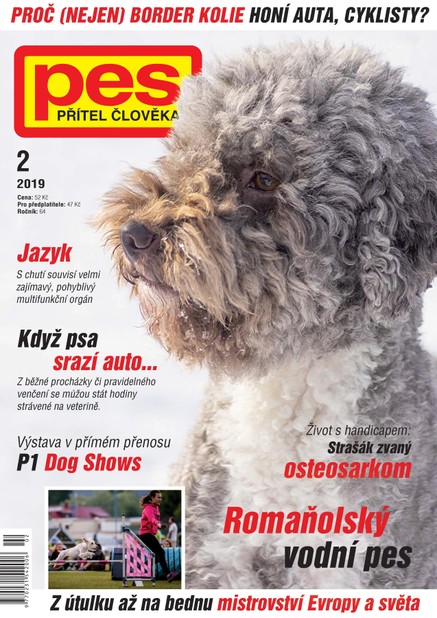 Pes přítel člověka 2/2019