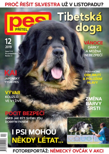 Pes přítel člověka 12/2019