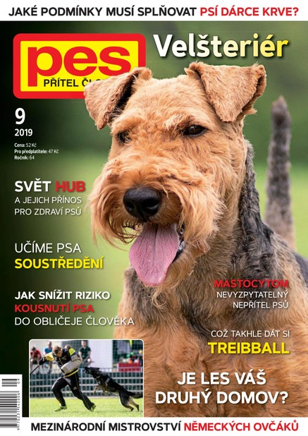 Pes přítel člověka 9/2019