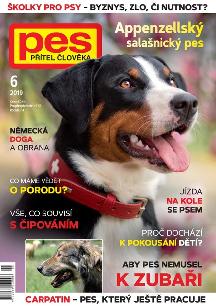 Pes přítel člověka 6/2019