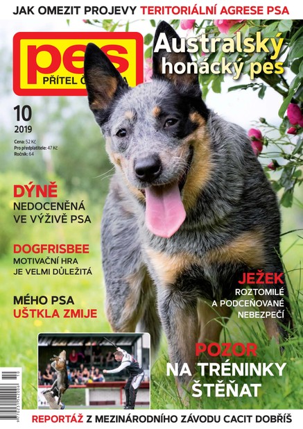 Pes přítel člověka 10/2019