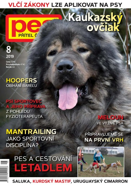 Pes přítel člověka 8/2019