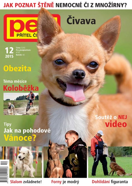 Pes přítel člověka 12/2015
