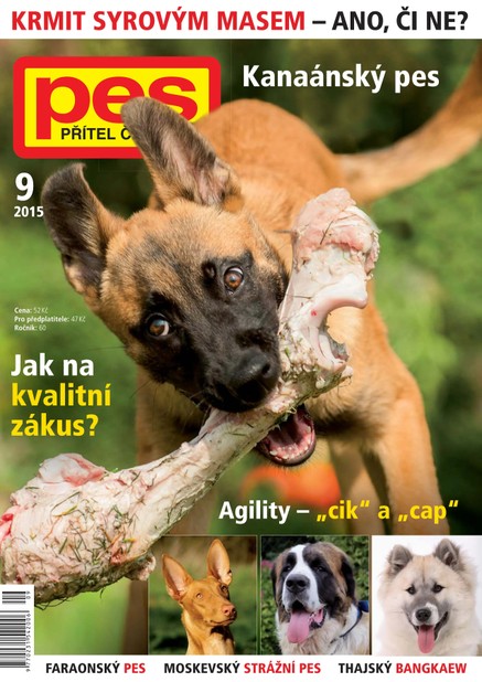 Pes přítel člověka 9/2015