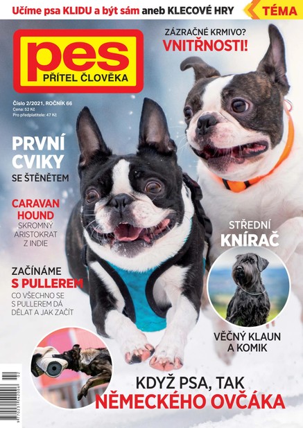Pes přítel člověka 2/2021