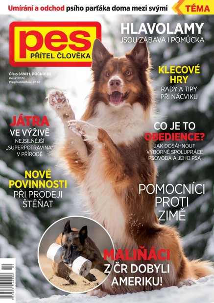 Pes přítel člověka 3/2021