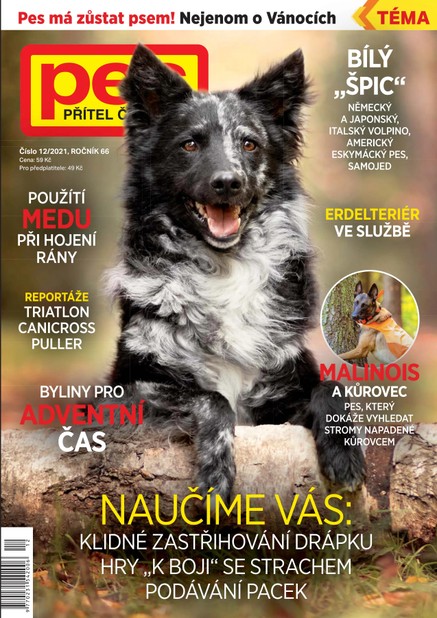 Pes přítel člověka 12/2021