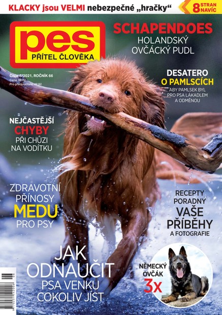 Pes přítel člověka 6/2021
