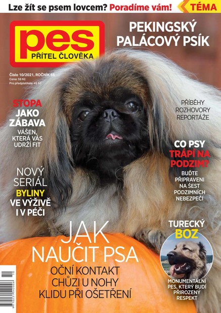 Pes přítel člověka 10/2021