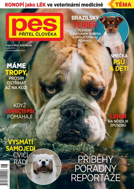 Pes přítel člověka 8/2021