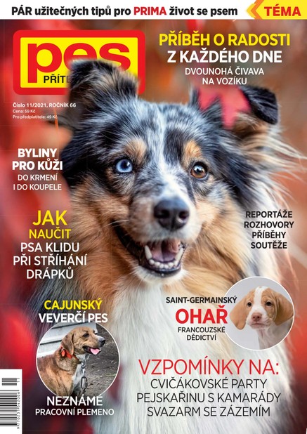 Pes přítel člověka 11/2021