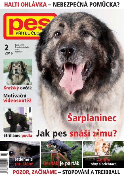 Pes přítel člověka 2/2016