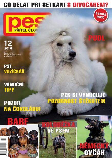 Pes přítel člověka 12/2016