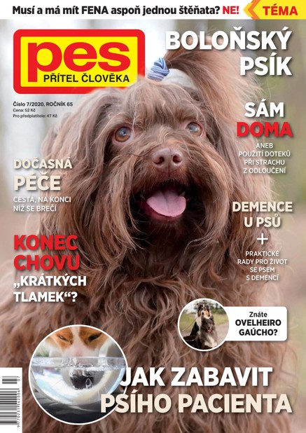Pes přítel člověka 7/2020