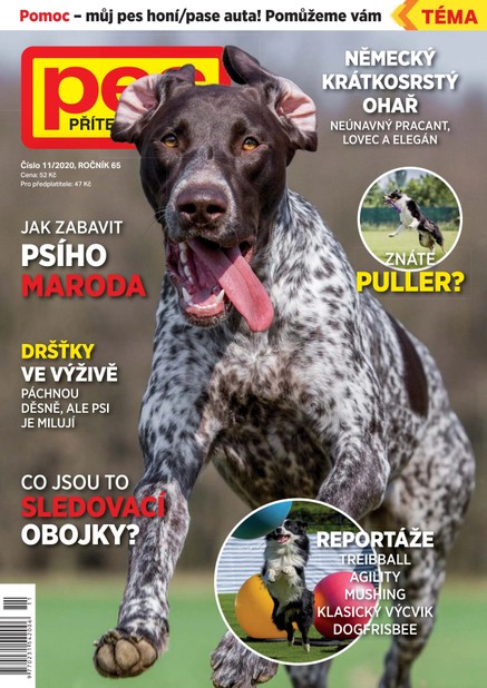 Pes přítel člověka 11/2020