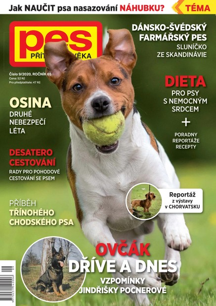 Pes přítel člověka 9/2020
