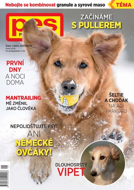 Pes přítel člověka 1/2021