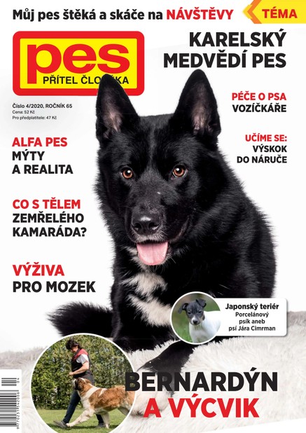 Pes přítel člověka 4/2020