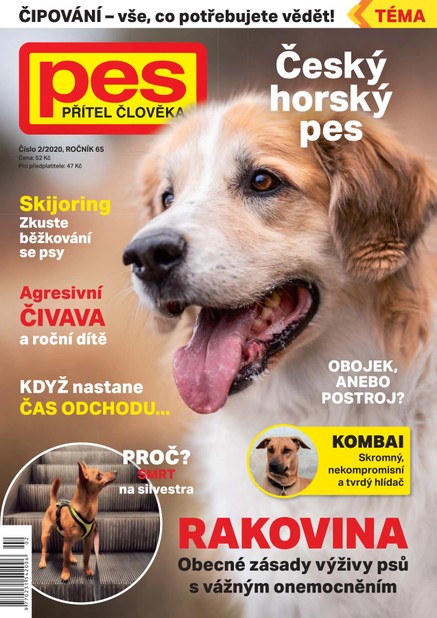 Pes přítel člověka 2/2020