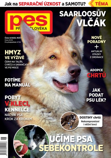 Pes přítel člověka 6/2020
