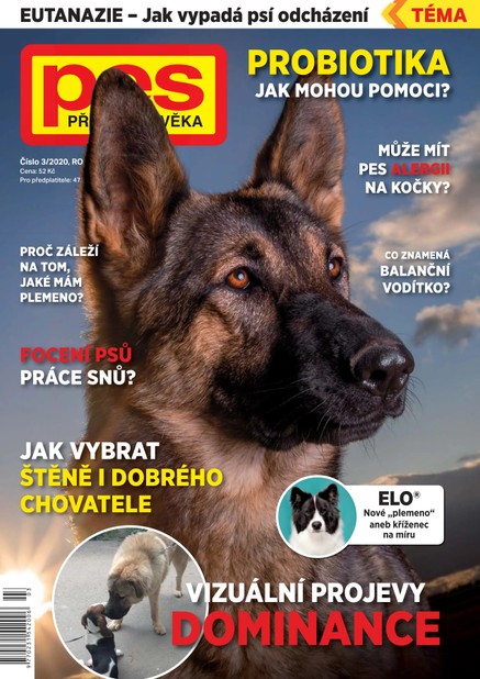 Pes přítel člověka 3/2020