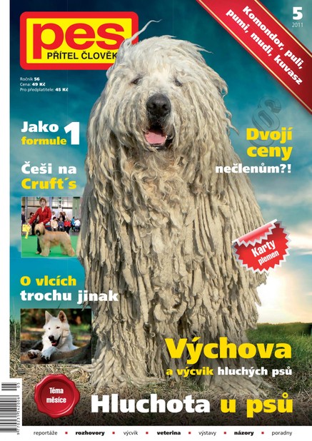 Pes přítel člověka 5/2011