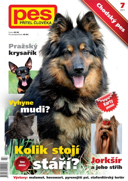 Pes přítel člověka 7/2011