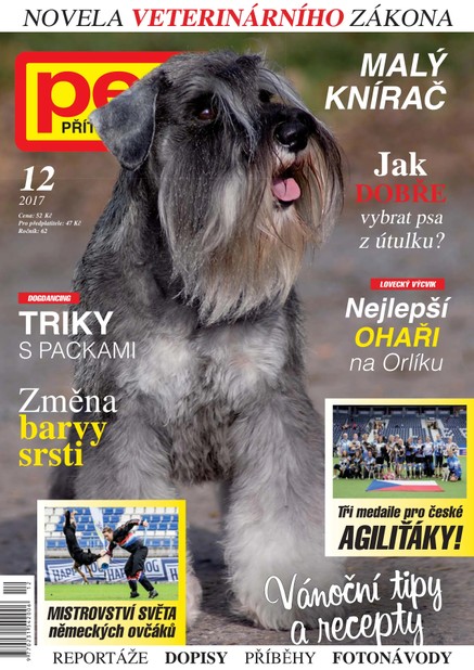 Pes přítel člověka 12/2017